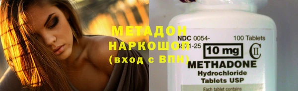 прущие грибы Абаза