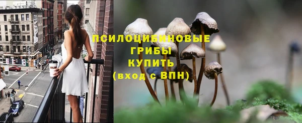 дживик Абинск