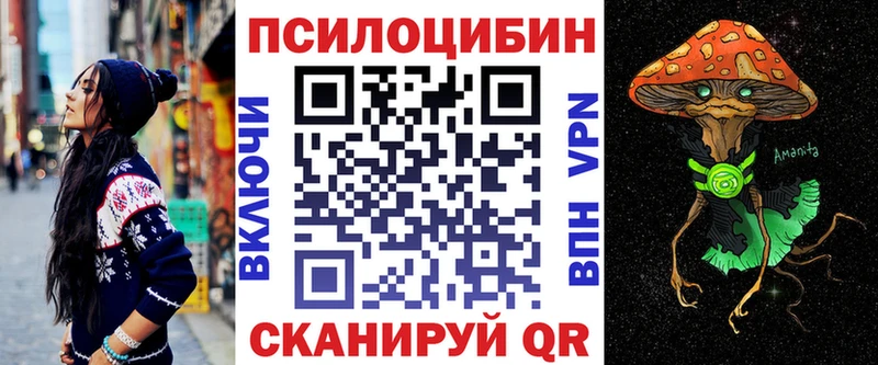 наркотики Александров Галлюциногенные грибы Psilocybe